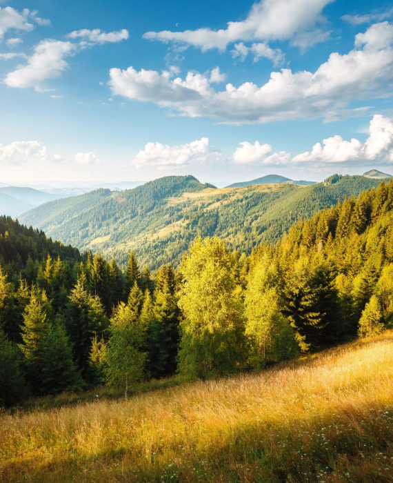 Psykologisk rådgivning