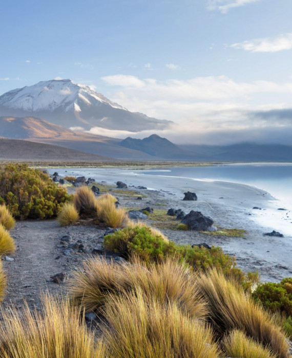Psykologiske undersøgelser