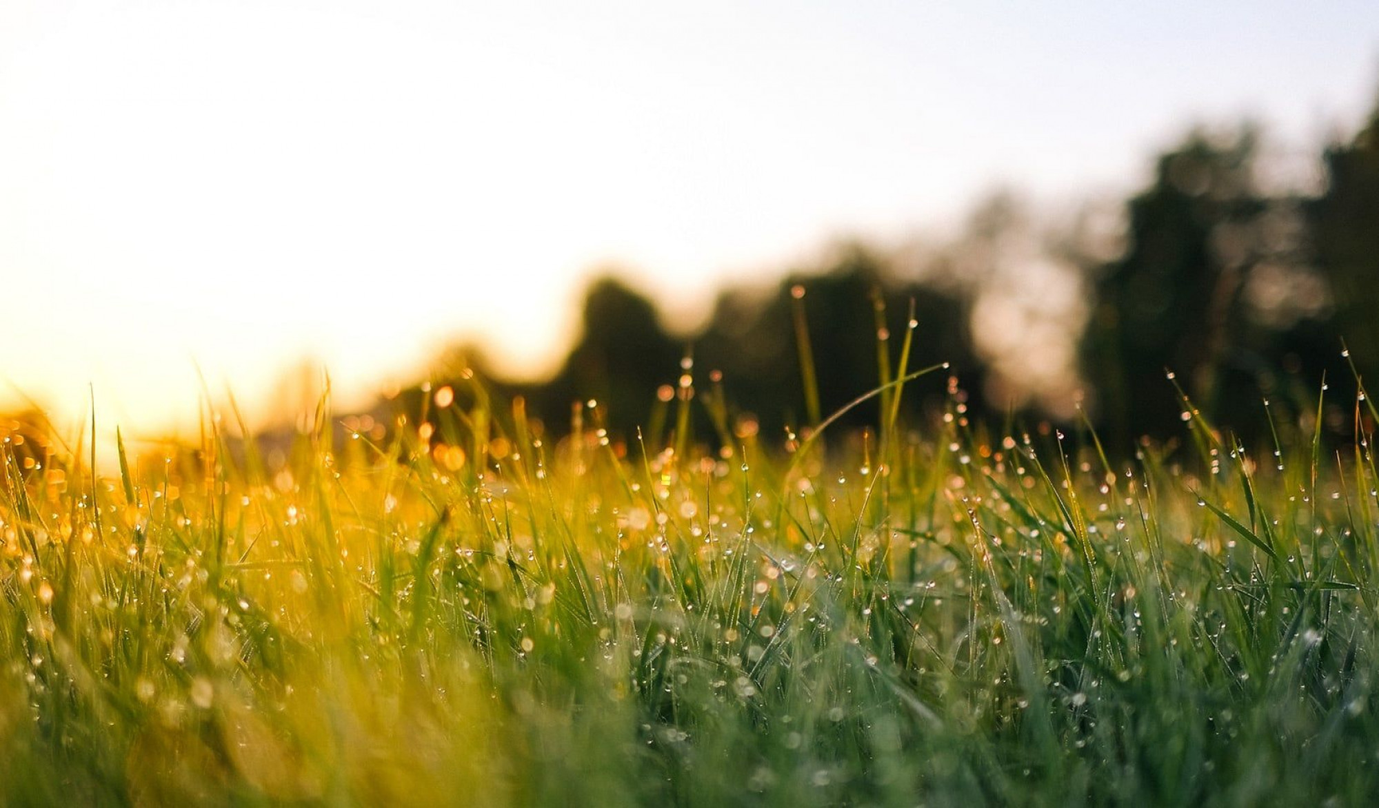 Velkommen til Kruse Psykologi